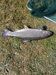 WhatsApp Bild 2025-04-12 um 17.38.29 ffcfd4c7