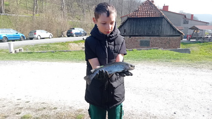 WhatsApp Bild 2025-04-24 um 11.26.40 a3a69342